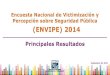 Envipe2014 Nal