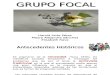 Focal Group