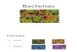 Bacterias Microbiolo