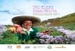 Catalogo de variedades de papa nativa de Chugay, La Libertad - Peru. Catalog of ancestral potato varieties from Chugay, La Libertad - Peru