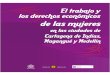 El Trabajo y los Derechos económicos de las mujeres en Cartagena, Magangué y Medellín