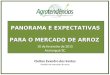 PANORAMA E EXPECTATIVAS PARA O MERCADO DE ARROZ Cleiton Evandro dos Santos Analista de mercado de arroz 10 de fevereiro de 2015 Araranguá/SC