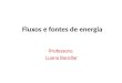 Fluxos e fontes de energia Professora: Luana Bacellar