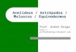 Anelídeos / Artrópodos / Moluscos / Equinodermos Prof. André Braga 