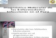 Diagnóstico Molecular de Las Enfermedades Infecciosas en El Perú