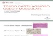 Tejido Cartilaginoso, Oseo y Muscular_1 (1)