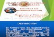 SESION 12 - CONSORCIOS DE EXPORTACION.pdf