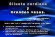 Rx Silueta Cardiaca y Grandes Vasos