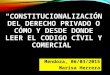 1 Bases Constitucionales Codigo Civil