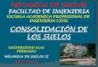 01 CONSOLIDACIÓN DE LOS SUELOS.pdf