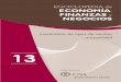 Enciclopedia de Economia y Negocios Vol 13