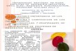 Bioquimica Prodeunp Sullana Unidad 3 Carbohidratos y Proteinas