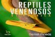 Reptiles venenosos de America.pdf