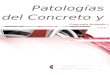 Informe de Patologias Del Concreto y Acero