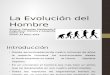 La Evolución del Hombre- Sebastián Maldonado Ramos- 7°A