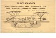 Biogas, recuperación de energía de los excrementos de los animales