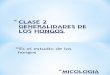 CLASE-2-GENERALIDADES-Y-ESTRUCTURA-DE-LOS-HONGOS-2016-1 (1).ppt