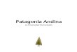 Patagonia Andina_La Inmensidad Humana