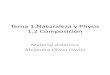 Physis y Composición. Material Didactico Cuantica