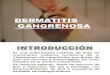 Dermatitis Gangrenosa