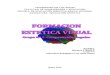 Aporte del Trabajo de Formación estética Visual. Comprensión Singular Grupo 2.pdf