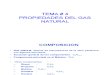 Tema 4.- Propiedades Gas Natural- Print