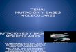 Mutaciones y Bases Moleculares Teoria