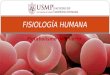 Fisiología Humana - Metabolismo Del Hierro - 2016