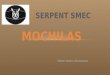 Serpent SMEC