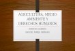 Agricultura, Medio Ambiente y Derechos Humanos