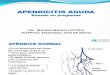 APENDICITIS AGUDA basado en preguntas.pdf
