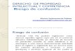 Exposicion Rejanovinschi Derecho Pi Riesgo Confusion (2)
