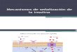 Mecanismos de Señalizacion de Insulina, Glucolisis, Gluconeogenesis