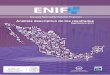 Análisis Descriptivo ENIF 2012