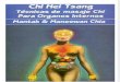 MANTAK CHIA-1990 - Chi Nei Tsang-Técnicas de Masaje Chi Para Órganos Internos