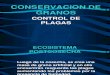 Conservación de granos control de plagas.pdf