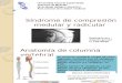 Síndrome de Compresión Medular y Radicular