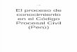 El Proceso de Conocimiento en El Código Procesal Civil