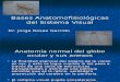 1. Bases Anatomopatologicas Del Sistema Visual 5º 12.03.15
