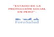 Proteccion Social Peru