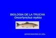 03 Biologia de La Trucha