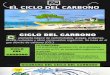 Ciclo Del Carbono Presentacion