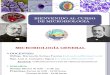 01 Bienvenidos Al Curso de Microbiología Fcb