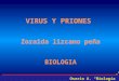 Tercer Capitulovirus y Priones