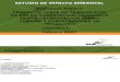 PROYECTO: LINEA DE TRANSMISION DE 220 KV SUBESTACION CAJAMARCA NORTE – SUBESTACION CERRO CORONA Y SUBESTACIONES (el “Proyecto”)