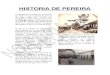 Historia de Pereira Tic