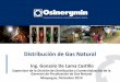 Distribución de gas natural osinergmin 2014.pdf