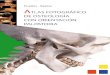 Atlas Fotográfico de Osteología Con Orientación Palpatoria (Puelles & Beytia)