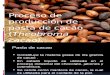 Proceso para la producción de pasta de cacao (1).pptx