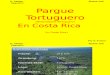 Parque Tortuguero Presentacion